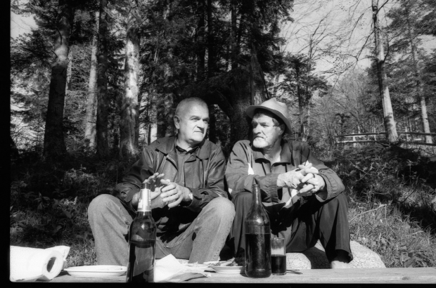 Povratak u zavičaj / Ivan Lučić